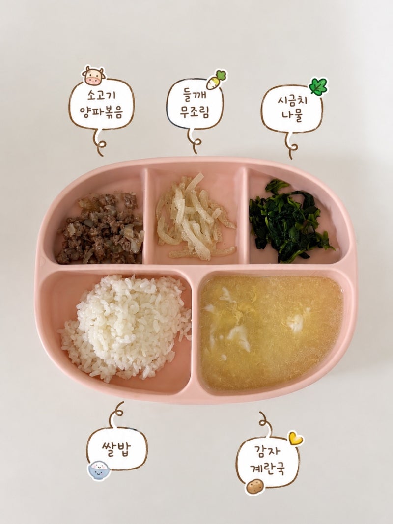 유아식도 장비빨! 모윰 실리콘 흡착식판 vs 그로미미 스테인리스 식판 비교 후기