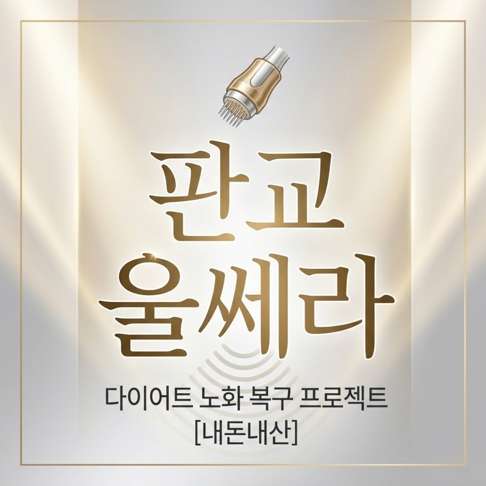 다이어트 후 급노화 ㅠㅠ 판교울쎄라 내돈내산 찐후기