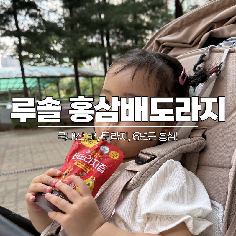 루솔 배도라지즙 홍삼 언제부터 후기 맛 성분 섭취연령 총정리