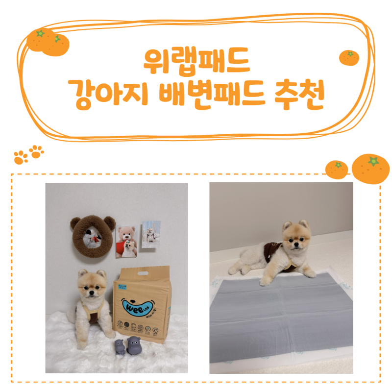 [위랩배변패드] 발도장없는 강아지배변패드 3가지 추천이유 !