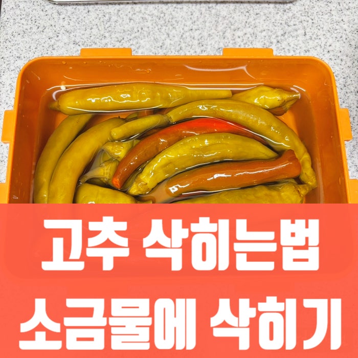 고추 삭히는 방법, 소금물에 삭혀 고추지 오래 보관하기