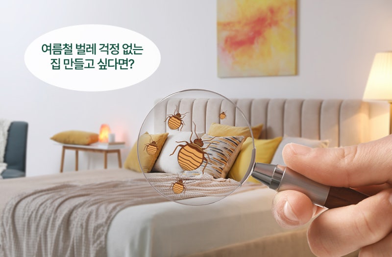 여름철 벌레 어떻게 없앨까? 모기·초파리 퇴치부터 예방법까지