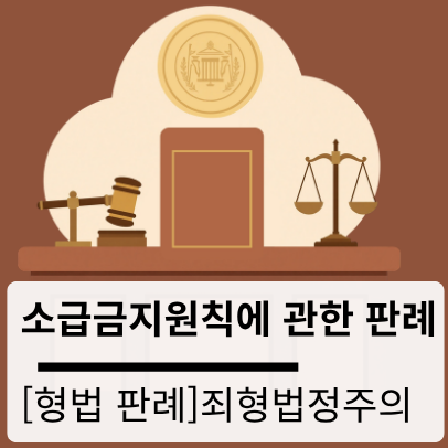 [형법 판례] 소급금지원칙에 관한 판례