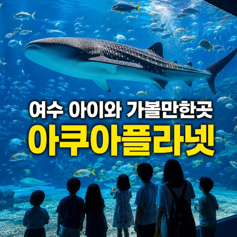 여수 가볼만한곳: 아이와 아쿠아플라넷 방문 시 주차와 유모차 대여 정보는 어떻게 될까요?