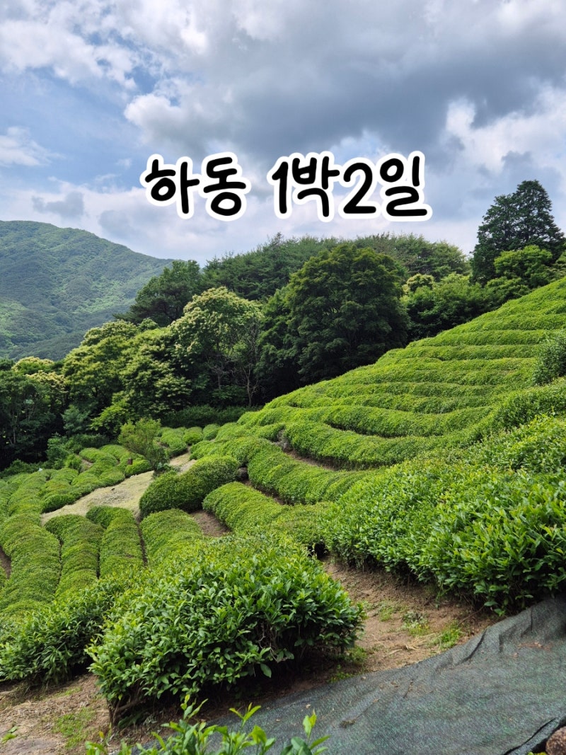경남 하동 여행코스 반값여행 1박2일 | 더덕구이 맛집 청운식당 | 유로제다 툇마루휴식 후기