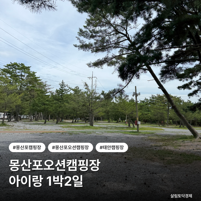 [태안] 몽산포오션캠핑장 내돈내산 후기 | 바다 앞 사이트·화장실 샤워실·예약 방법