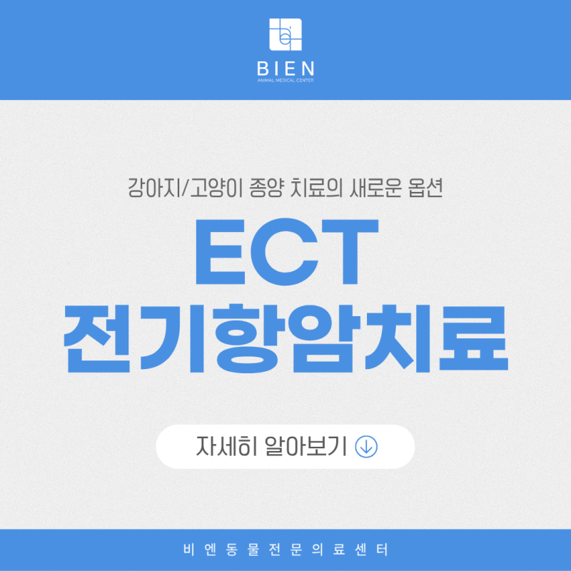 [ECT] 강아지/고양이 종양 치료의 새로운 옵션, 전기항암치료 도입 소식