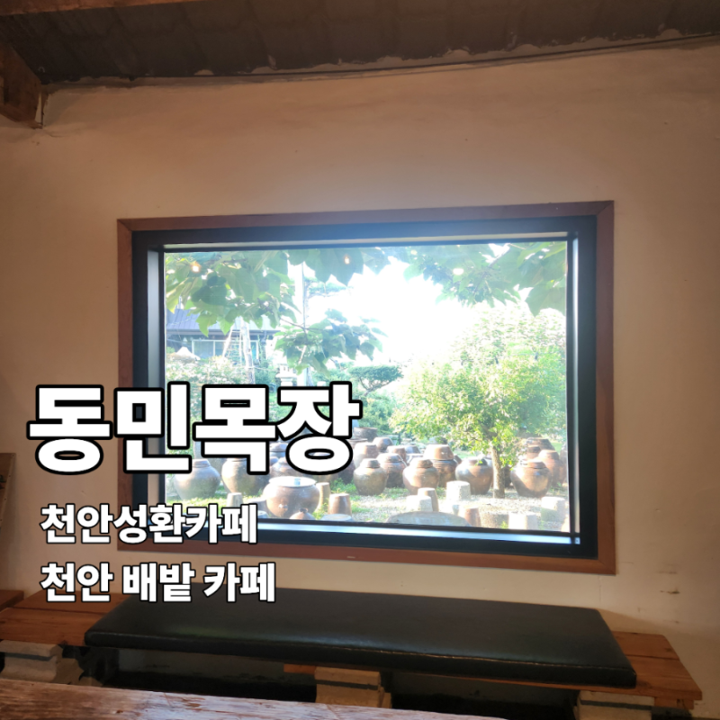 [동민목장]_천안성환카페_배밭카페