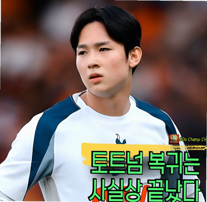 양민혁 토트넘 임대 왜 또 결정됐을까? 벨기에 베스테를로행 포인트 정리