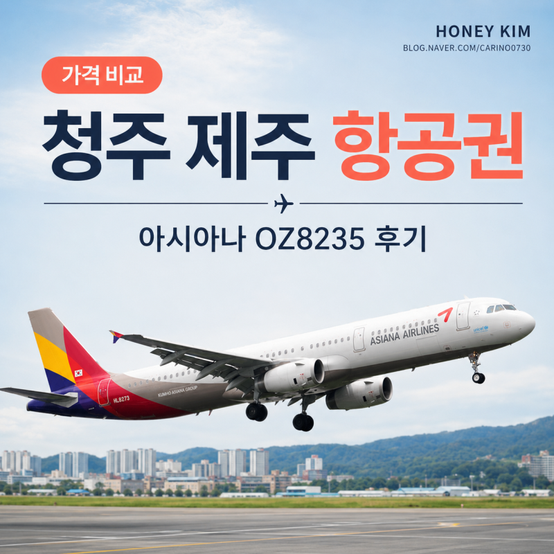 Cheongju to Jeju Airfare Comparison: How to Find the Lowest Price and Asiana OZ8235 Review