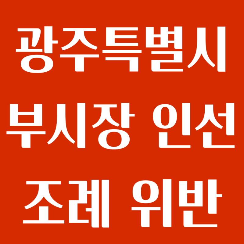 광주특별시 부시장 인선 조례 위반 논란 민형배 시장 출석요구