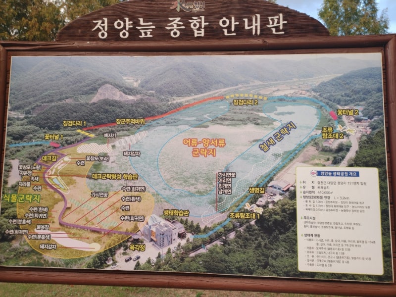 [ 합천 살아보는 여행 #11] 합천 정양늪의 엄청난 규모, 저녁노을에 물든 고요한 습지의 경이....