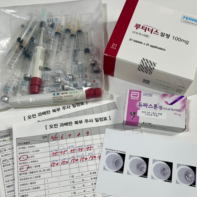 난임병원 시험관 시술 과정 및 비용 | 난자 채취, 이식 후기 및 성공 팁