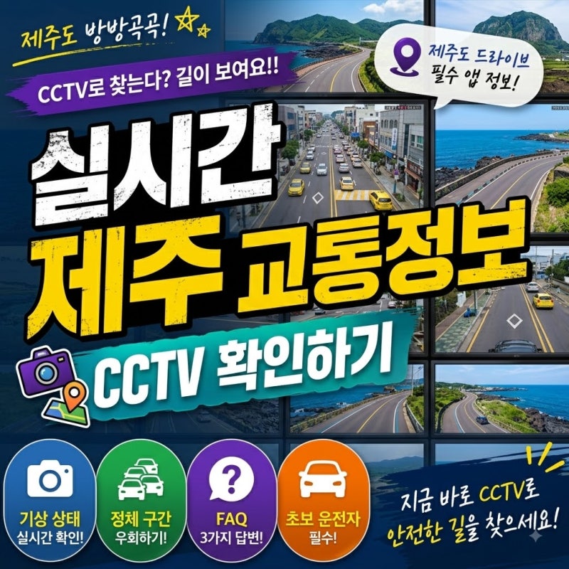 제주도 방방곡곡 cctv로 찾는다? 길이 보여요!!