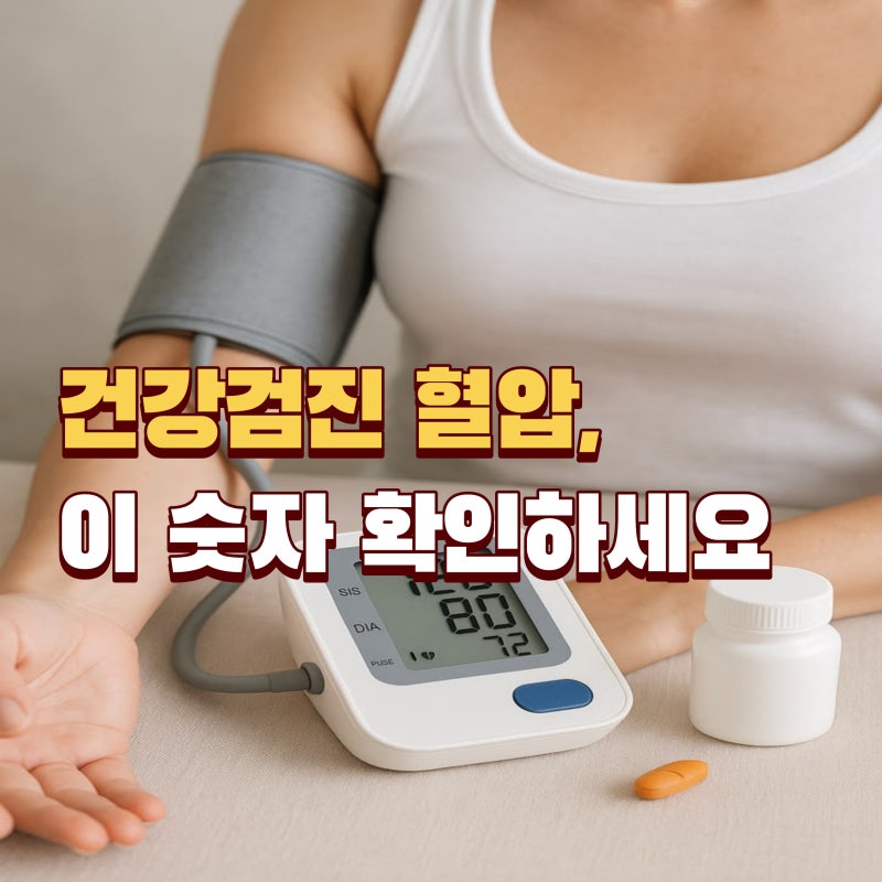 여성 혈압 정상수치, 정상 범위는? 40대·50대라면 꼭 확인하세요