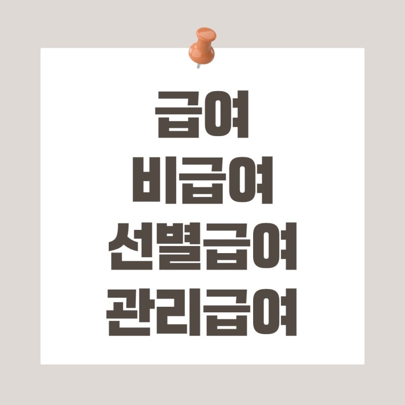 급여·비급여·선별급여·관리급여, 진료비 영수증을 가르는 네 칸