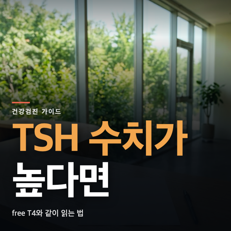 TSH 수치 높으면, 불현성과 뭐가 다를까