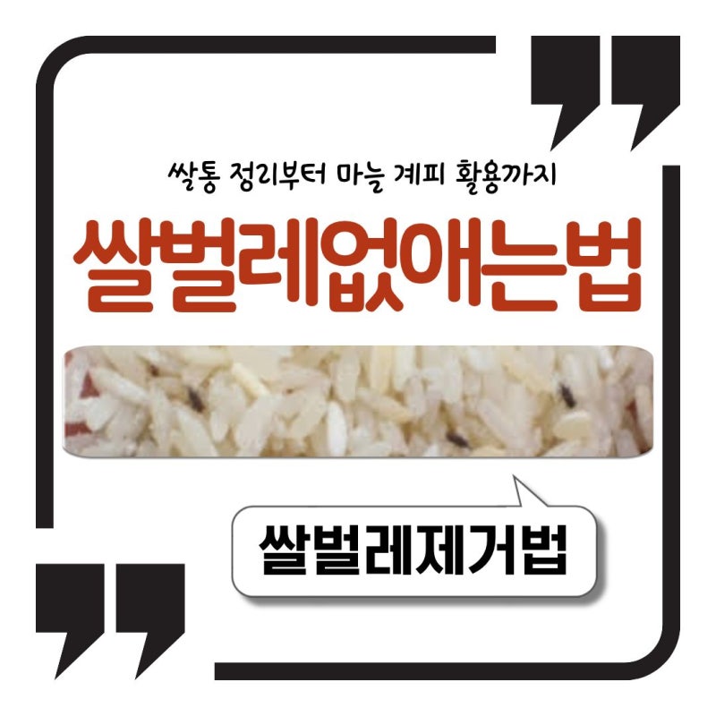 쌀벌레 없애는법 쌀통 정리부터 마늘 계피 활용까지