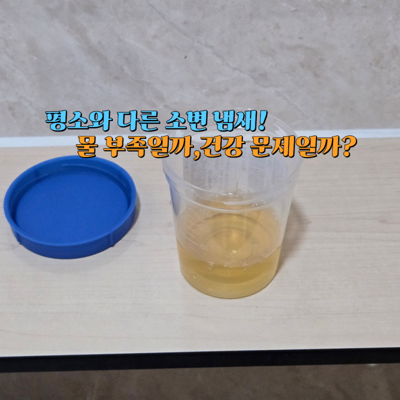 소변 냄새가 심한 이유, 평소와 다르다면 확인할 건강 신호