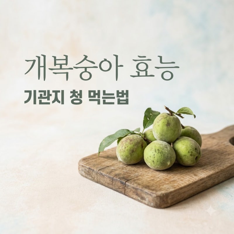 개복숭아효능 기관지 건강 완화 수확시기 및 청 먹는법 부작용 정리