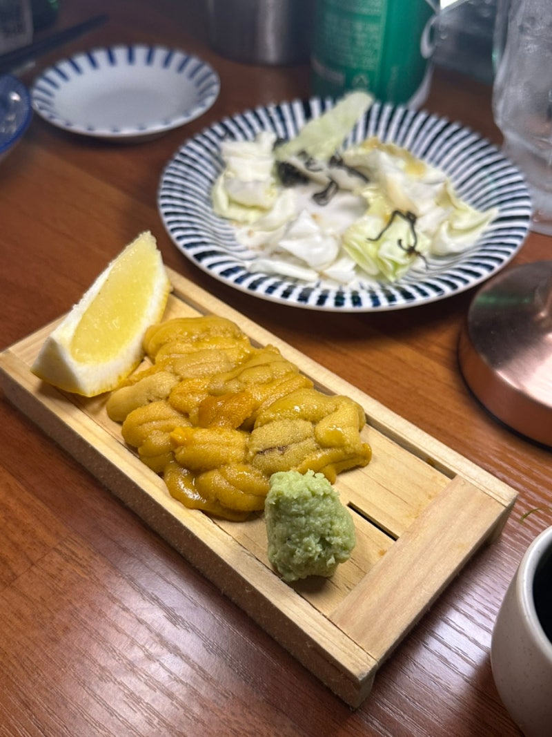 속초해수욕장 술집 '속초사계' 후기, 싱싱한 우니한판 맛볼 수 있는 분위기 좋은 술집 추천