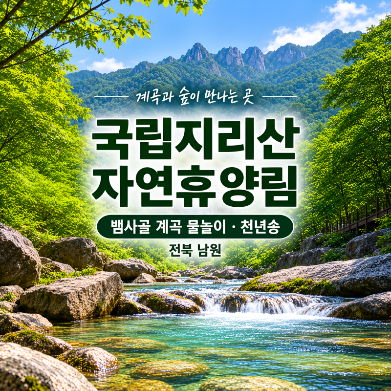 휴양림 42편 / 국립지리산자연휴양림 예약 방법·요금 총정리 (뱀사골 계곡 물놀이 · 와운마....