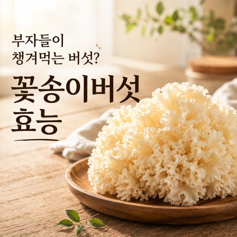 꽃송이버섯 효능 완전정리! 사람들이 효소로 찾는 이유는?
