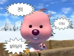 [내집마련 #15] KB시세 드디어 나의 매매가 이상 등재! (반영 시차 이유, KB시세 직접 올리는 법)