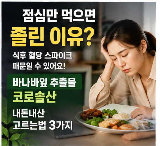 식후 나른할 때 챙기는 바나바잎 추출물 코로솔산 체크리스트 3가지