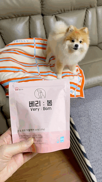 강아지 눈 영양제 추천 베리봄, 눈물자국 피부까지 더블케어 급여 후기