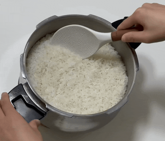 압력밥솥 어떤 것을 사야할까?(종류 비교) 인덕션 사용 가능한 풍년 압력밥솥★밥짓기 15분★