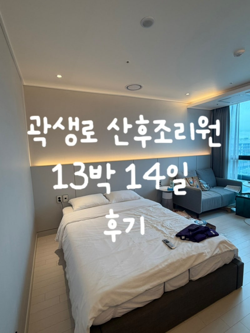 송도 곽생로 산후조리원 vip실 13박14일 후기(할인,가슴마사지)