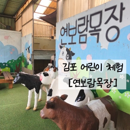 김포 아이랑 가볼만한곳 송아지 우유주기, 치즈+피자만들기, 트랙터타기 등 다양한 체험이 ....
