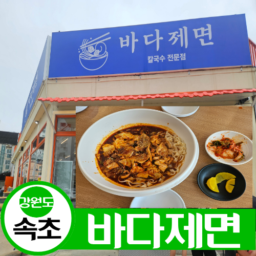 강원도 속초 해수욕장 맛집 애견동반 식당 칼국수 전문점 바다제면 속초본점 내돈내산 솔직....