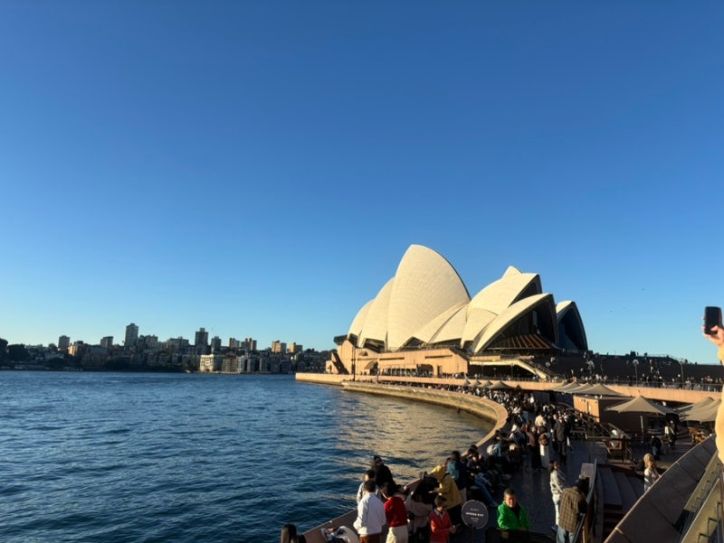 Asiana Airlines OZ601, 602 Round Trip Review from Incheon to Sydney (Including Mileage Accumulation and Seat Recommendations)