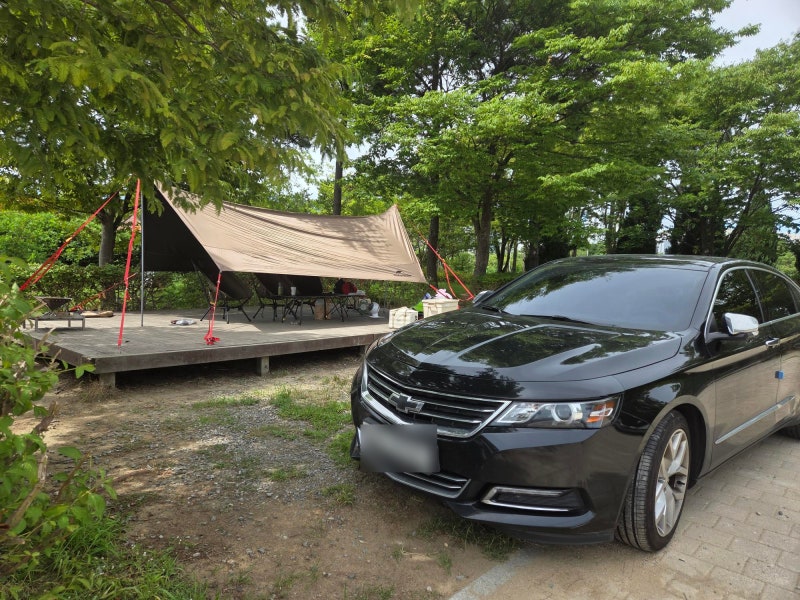 [인천 송도] 송도국제캠핑장 당일 피크닉 후기