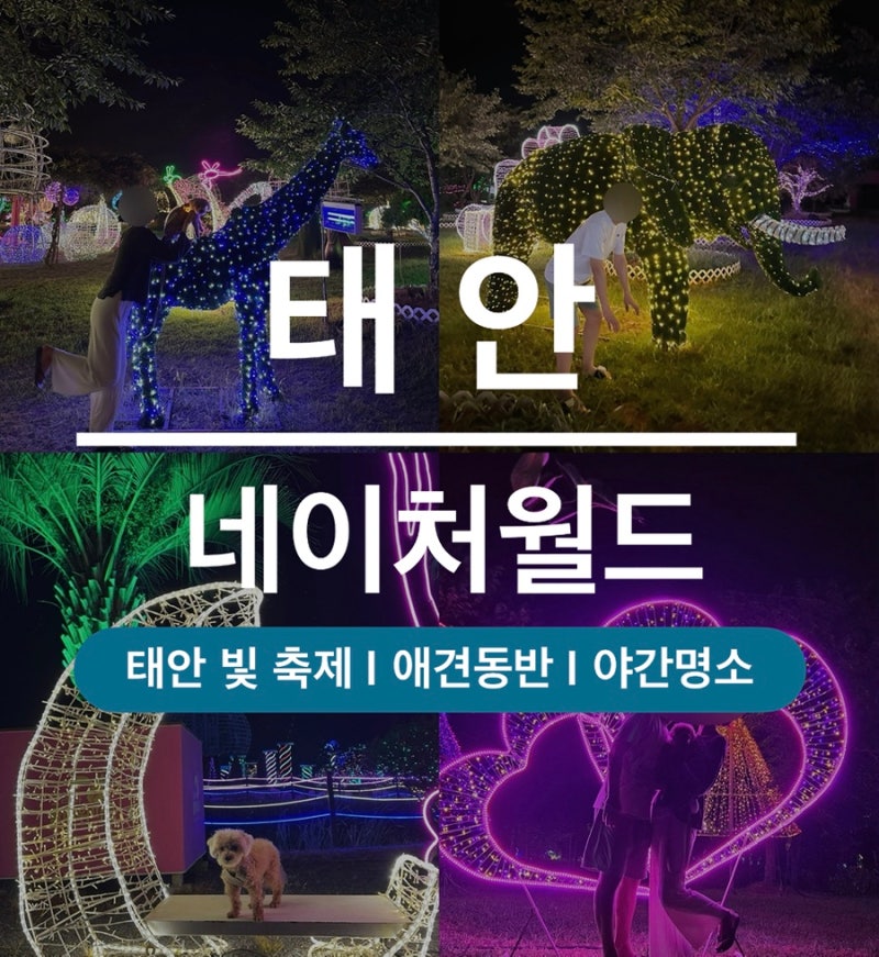 [태안여행] 태안 가볼 만한 곳｜야간명소 네이처월드 빛축제 입장료·운영시간 | 애견동반 가....
