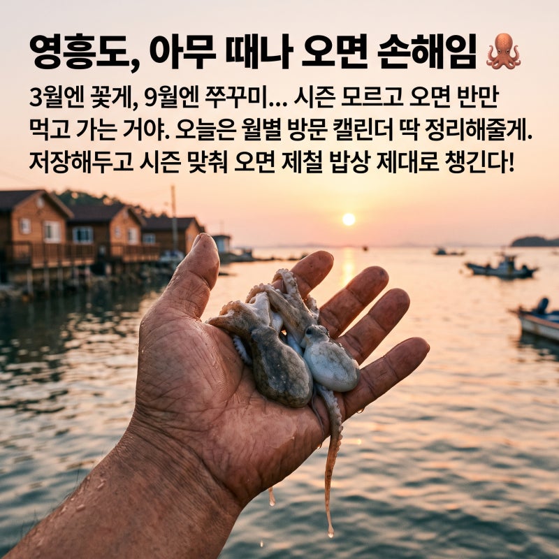영흥도 제철 밥상 캘린더 – 9월 쭈꾸미부터 봄가을 꽃게까지