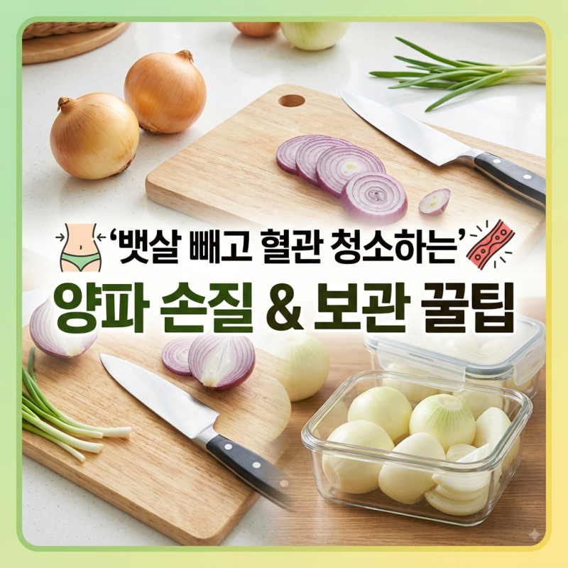 뱃살 빼주는 양파, 손질법부터 깐양파 장기 보관법까지 총정리