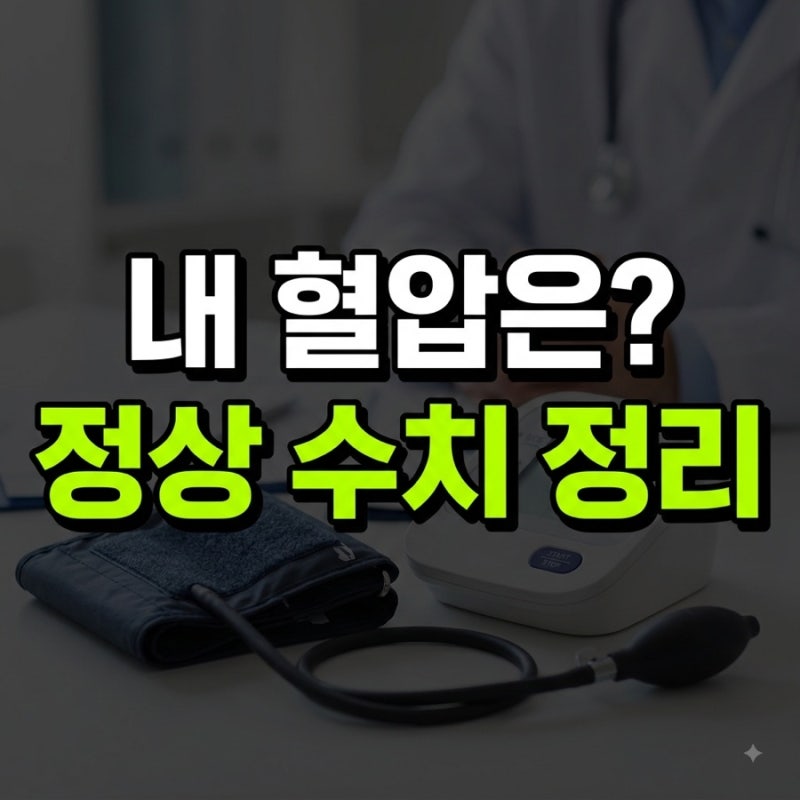 혈압정상수치 범위 저혈압 맥박수 정리(+나이별 낮추는법)