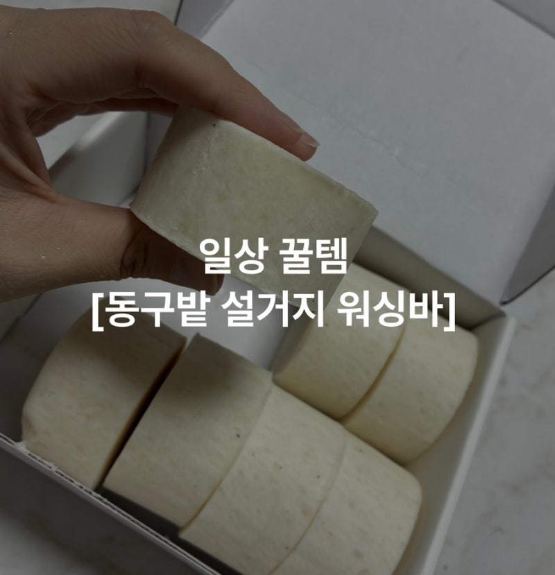 일상 꿀템 [동구밭 설거지 워싱바] 후기