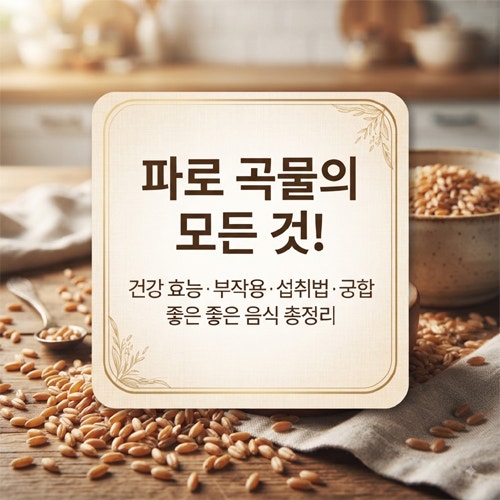 파로 효능 영양성분부터 부작용 먹는법 파로밥까지