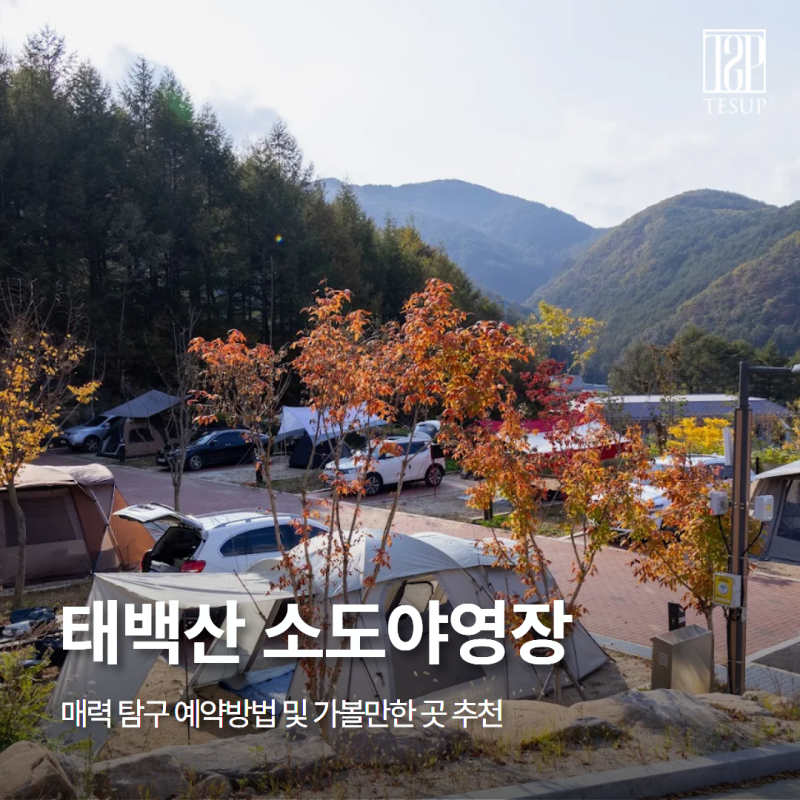 태백산 소도야영장 매력 탐구 예약방법 및 가볼만한 곳 추천