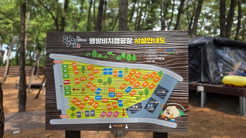 강원도 삼척 맹방비치캠핑장 바닷가 캠핑장 가볼만한곳