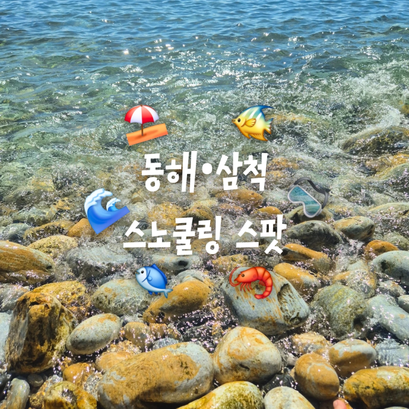 [동해 여행] 동해·삼척 스노클링 명소 총정리｜문암·한섬·몽돌해변 직접 다녀온 동해 스노....