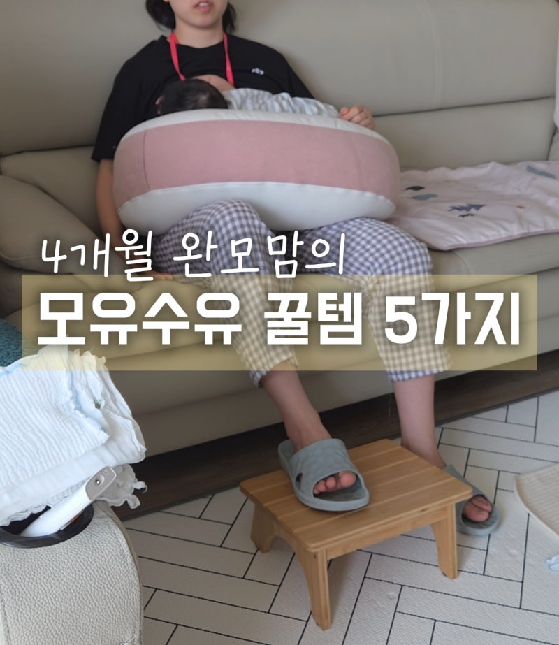 4개월 직수 완모맘의 찐꿀템 5가지 (ft. 수유쿠션/수유끈/발받침대/철분제/훼로맥스/유두보호....