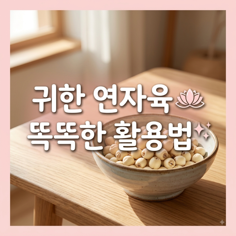 연자육 효능, 영양 특징과 먹는 법 주의사항 정리