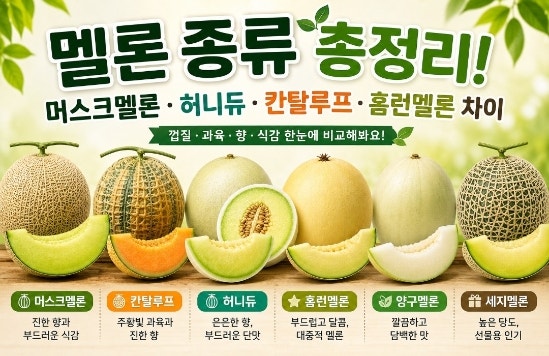 멜론 종류 품종｜머스크멜론·칸탈루프·허니듀·홈런멜론 차이