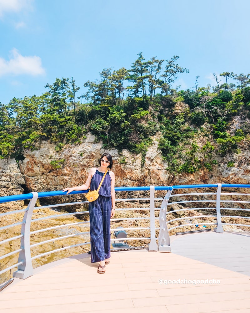 Places to Visit in Boryeong: From Daecheon Port Fish Market to Boryeong Undersea Tunnel, Wonsando Beach, and Solokdo Sunset Observatory
