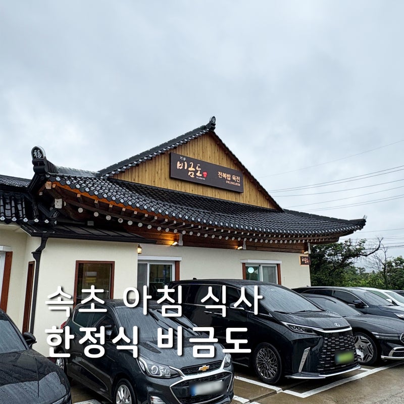 속초 한정식 맛집 비금도 방문 후기